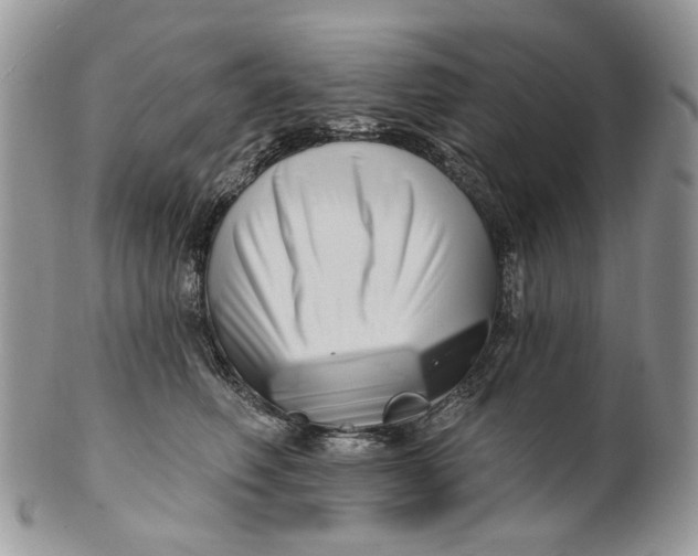 X0000099960614200806131512