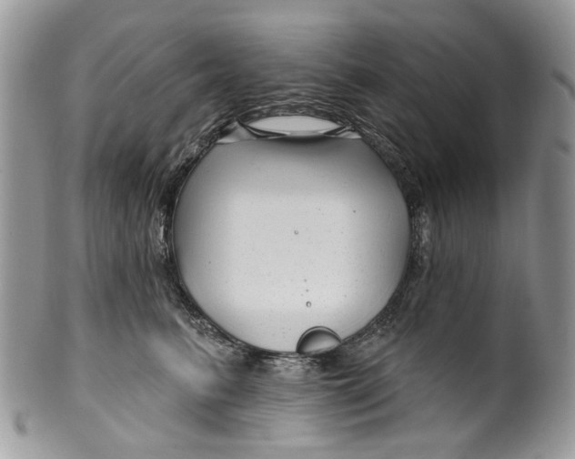 X0000099960615200806131512