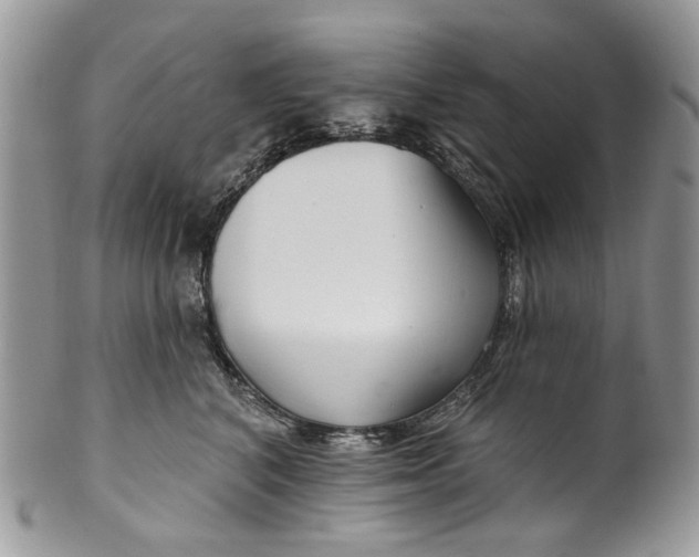 X0000099960616200806131512