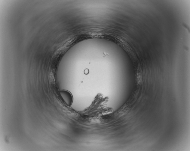 X0000099960618200806131511