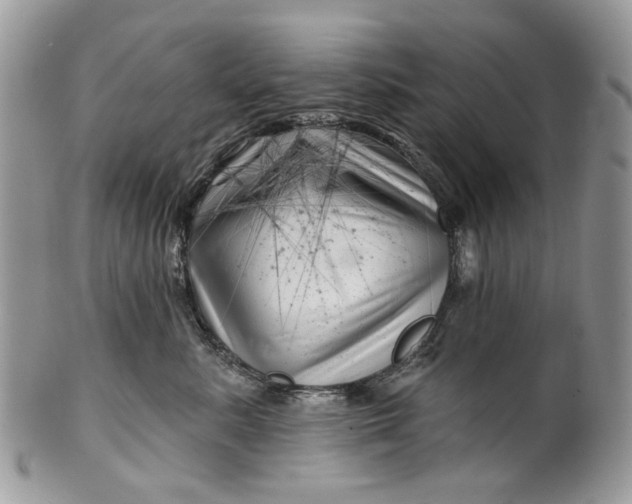 X0000099960619200806131511