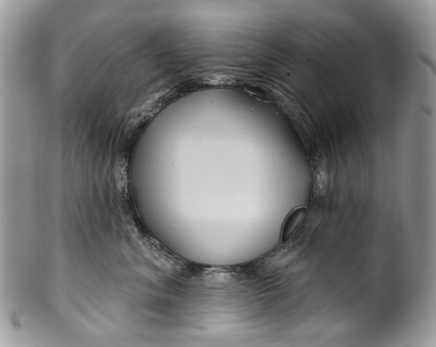 X0000099960620200806131511