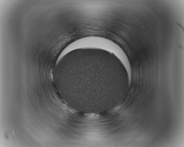 X0000099960621200806131511