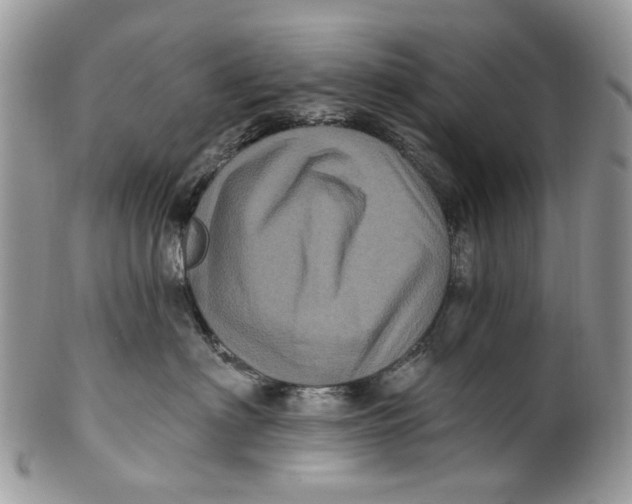 X0000099960622200806131511