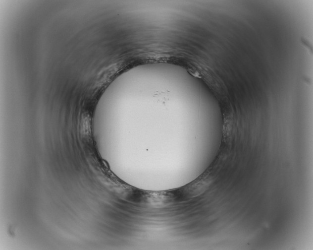 X0000099960623200806131511