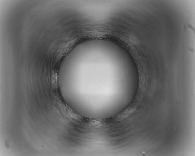 X0000099960624200806131511