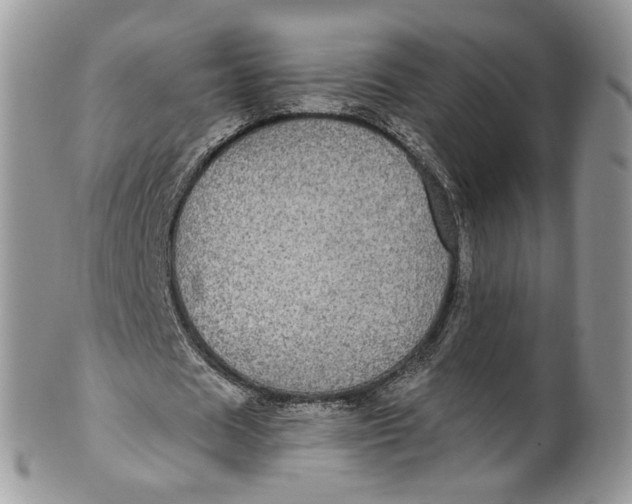 X0000099960625200806131511