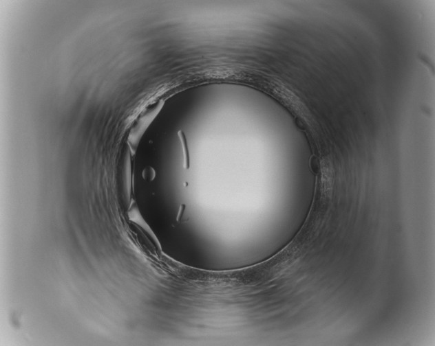 X0000099960626200806131511