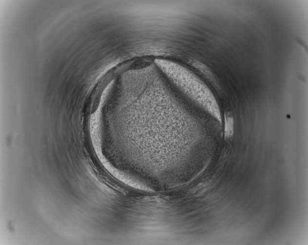 X0000099960627200806131511