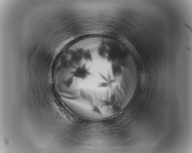 X0000099960628200806131511