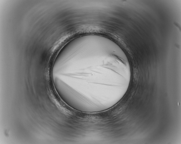 X0000099960629200806131511