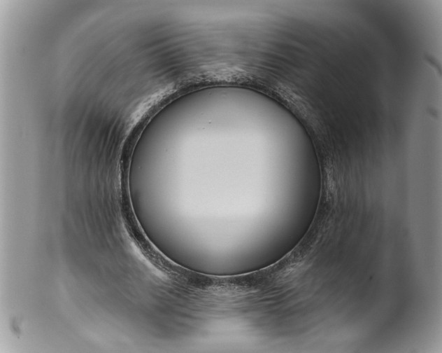 X0000099960630200806131511