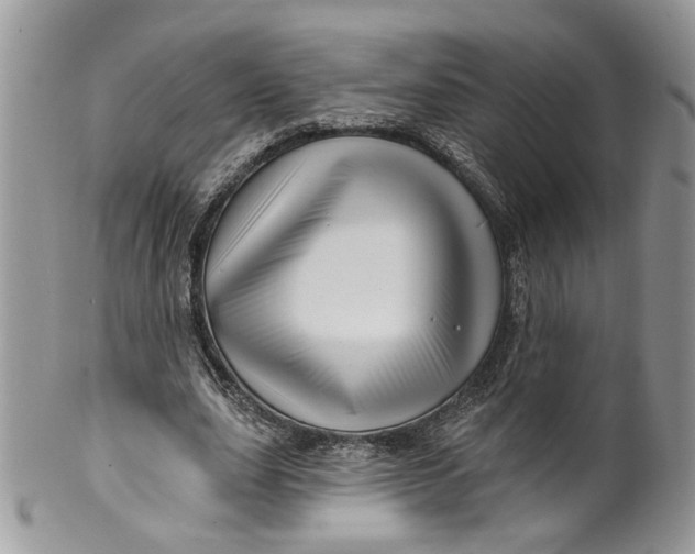 X0000099960631200806131511