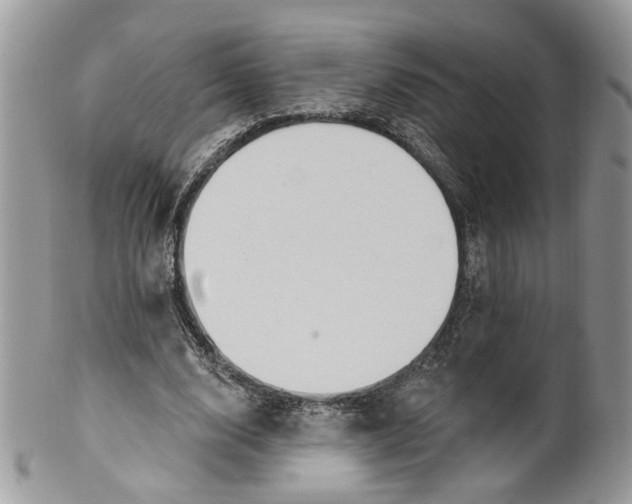 X0000099960632200806131511