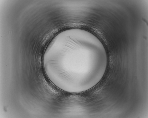 X0000099960633200806131511