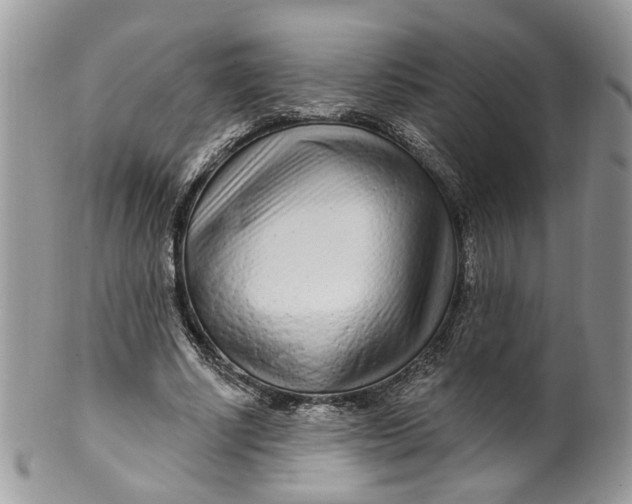 X0000099960634200806131511