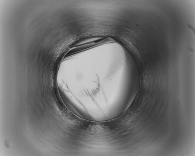 X0000099960635200806131511