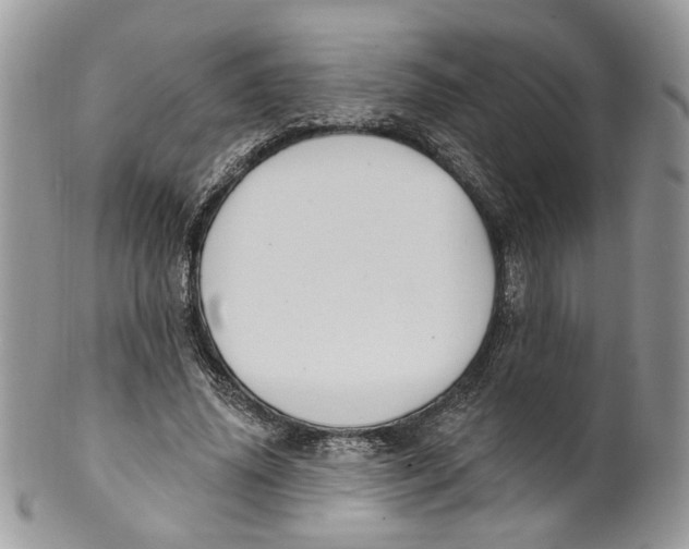 X0000099960636200806131511