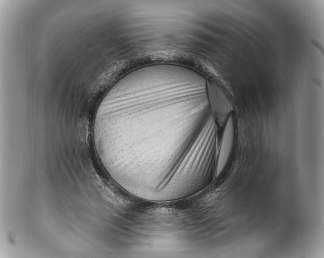 X0000099960637200806131511