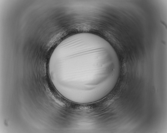 X0000099960638200806131511