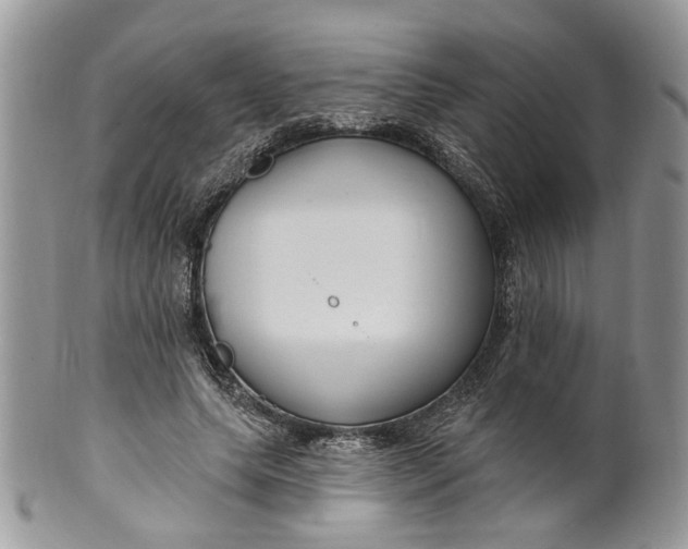 X0000099960639200806131511