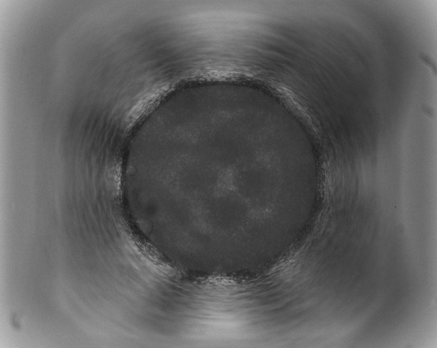 X0000099960640200806131511