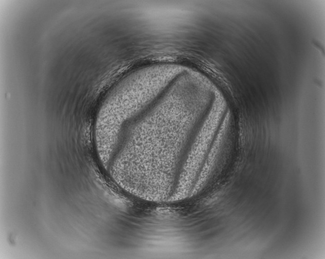 X0000099960641200806131511