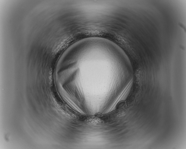 X0000099960642200806131511