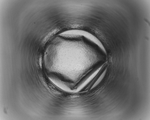 X0000099960644200806131511