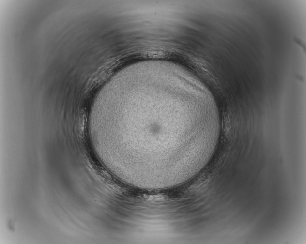 X0000099960645200806131511