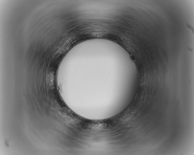 X0000099960646200806131511