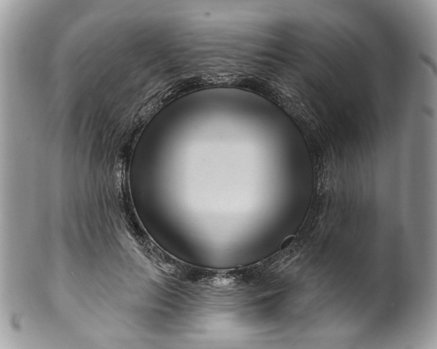 X0000099960647200806131511