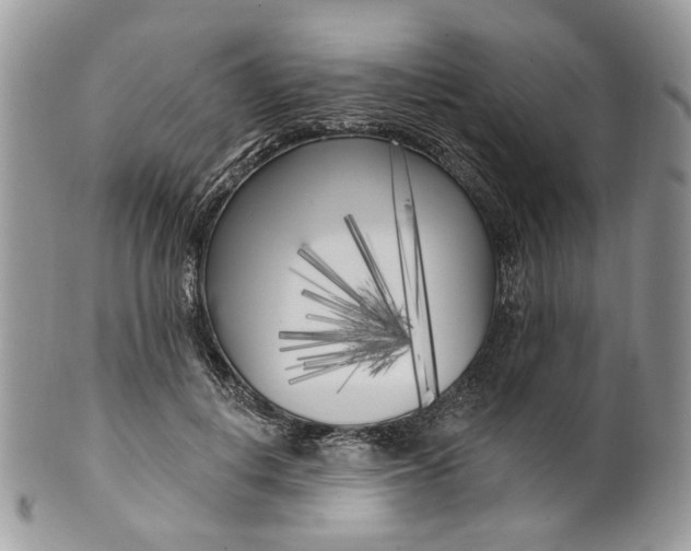 X0000099960648200806131511