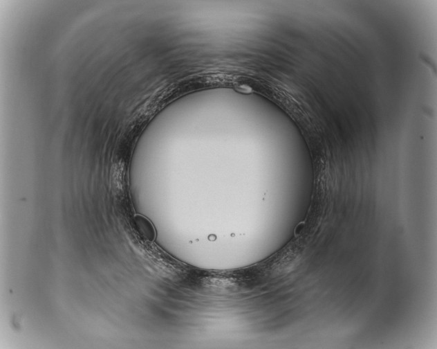 X0000099960649200806131511