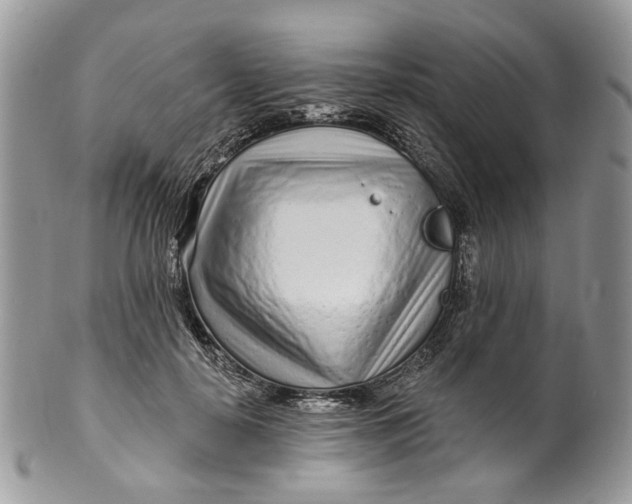 X0000099960650200806131511