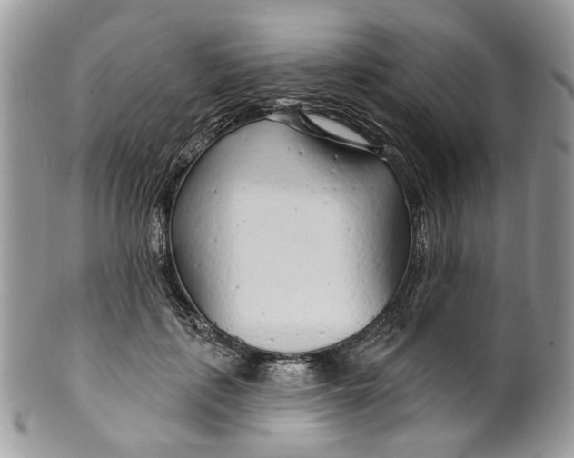 X0000099960651200806131511