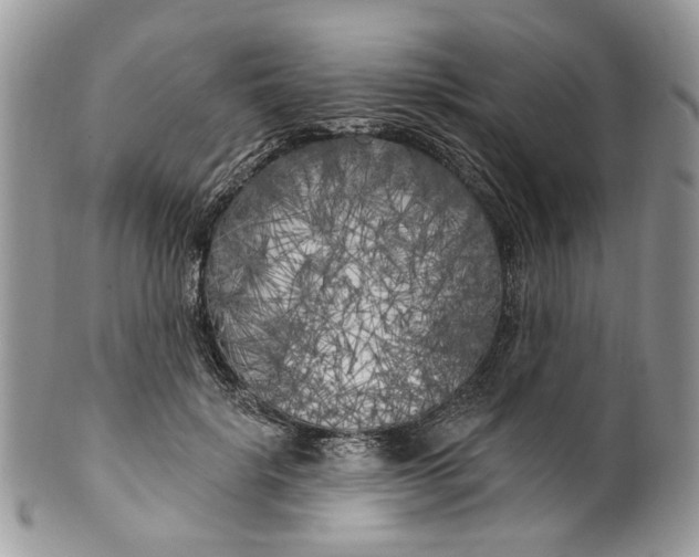 X0000099960652200806131511