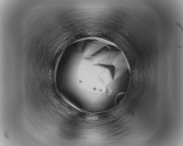 X0000099960653200806131511