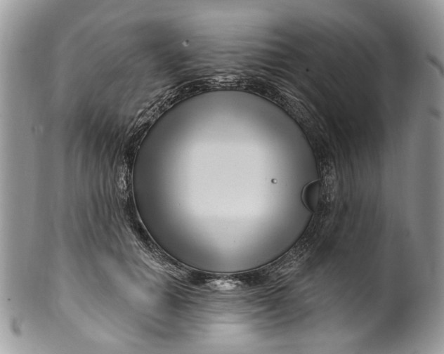 X0000099960654200806131511