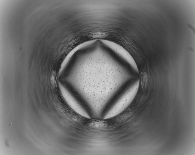 X0000099960655200806131511