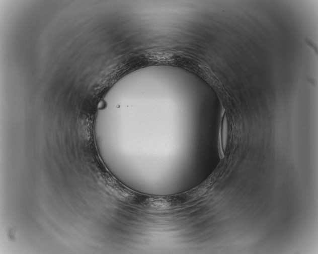 X0000099960658200806131511