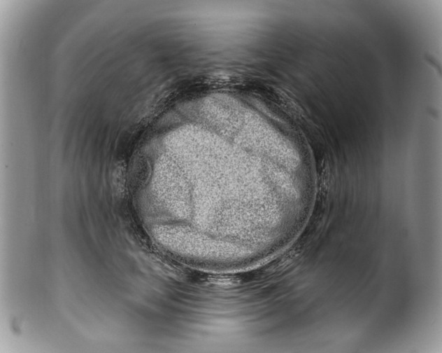 X0000099960659200806131511