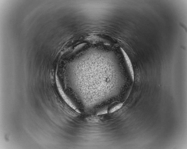 X0000099960661200806131511