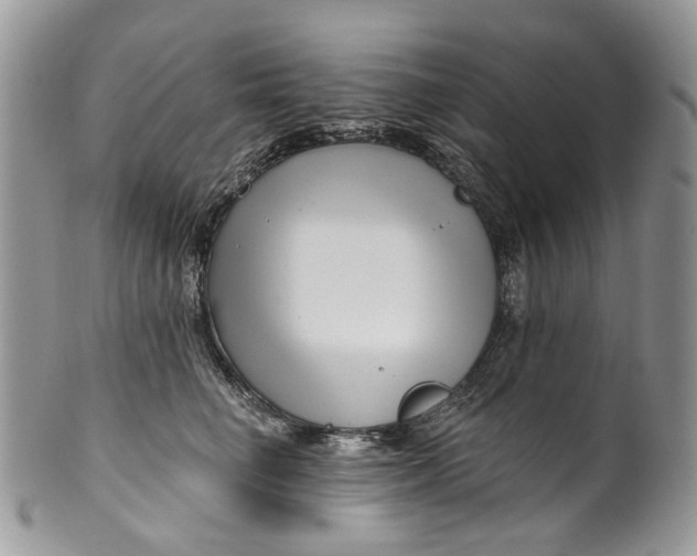 X0000099960662200806131511