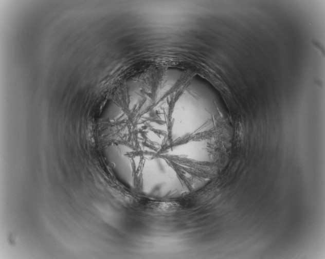 X0000099960663200806131511