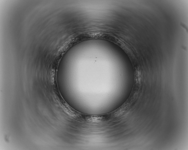 X0000099960664200806131511