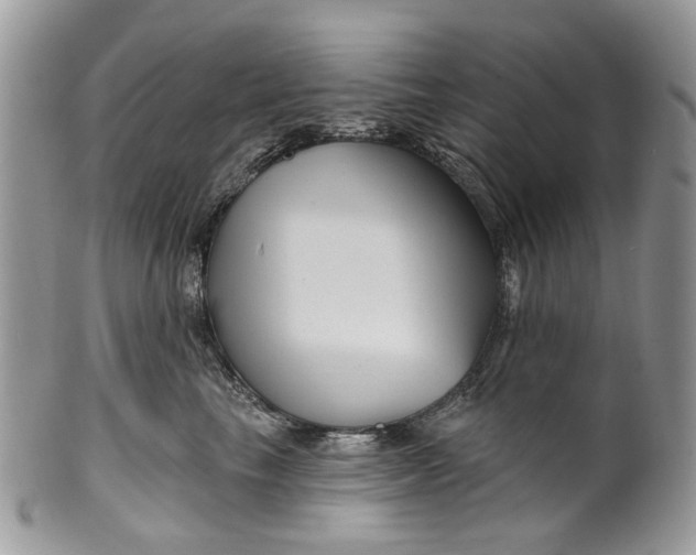 X0000099960665200806131511