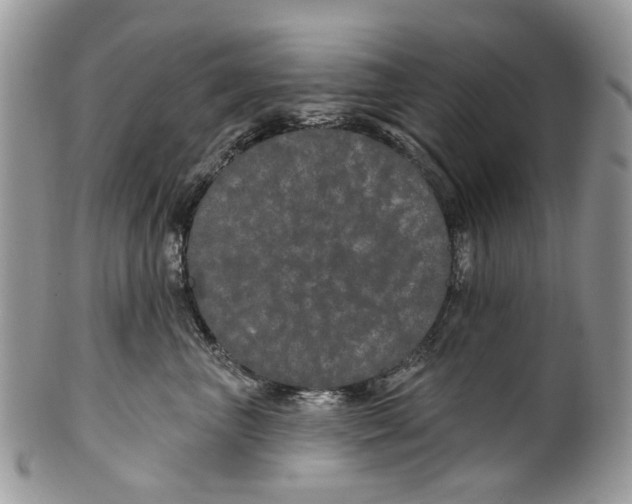 X0000099960667200806131511