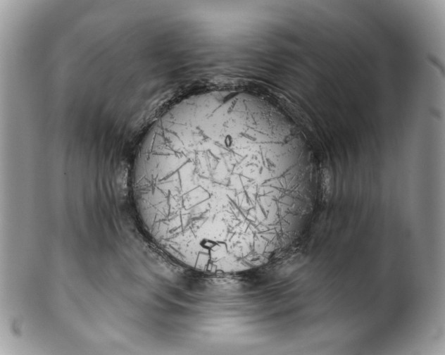 X0000099960668200806131511