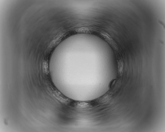 X0000099960669200806131511